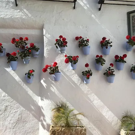 Sweet Centro Apartamento